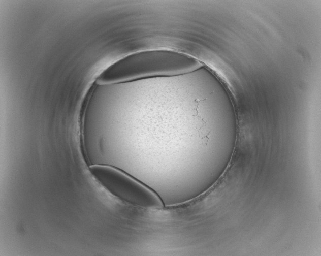 X0000115681088200911251746