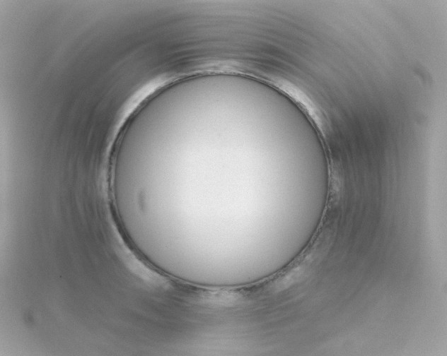 X0000115681090200911251746