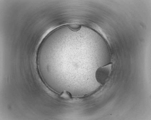 X0000115681091200911251746