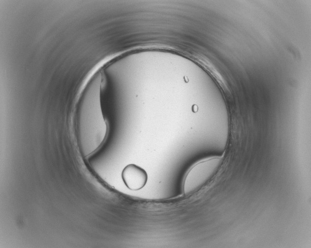 X0000115681092200911251746