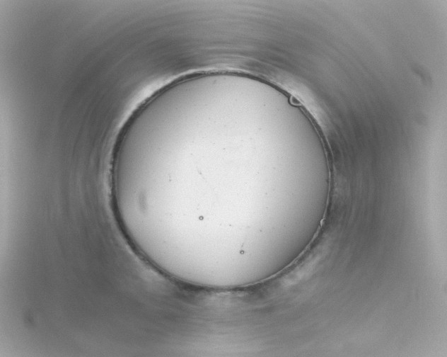 X0000115681093200911251746