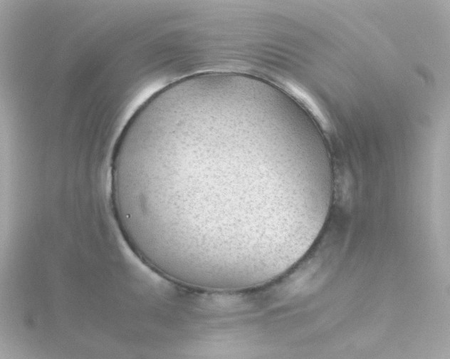 X0000115681095200911251746