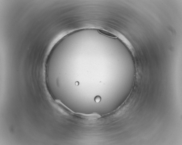 X0000115681096200911251746