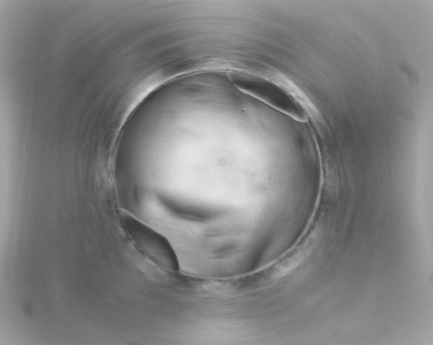 X0000115681097200911251746