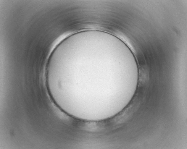 X0000115681098200911251746