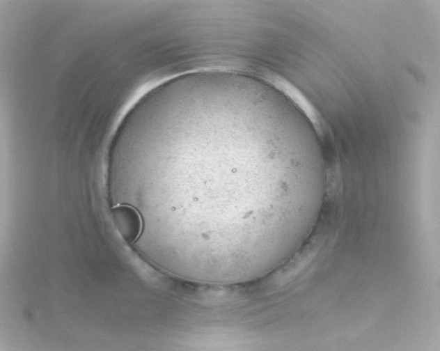 X0000115681099200911251746