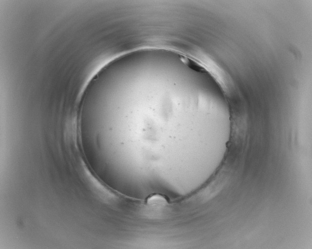 X0000115681100200911251746