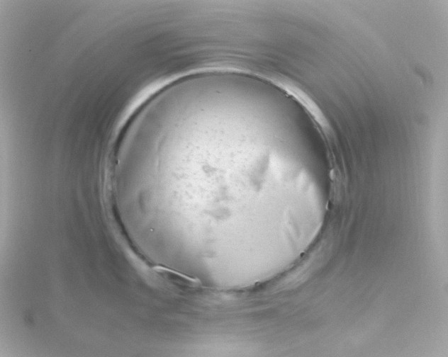 X0000115681101200911251746