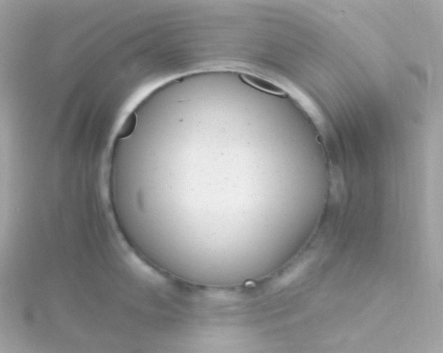 X0000115681102200911251746