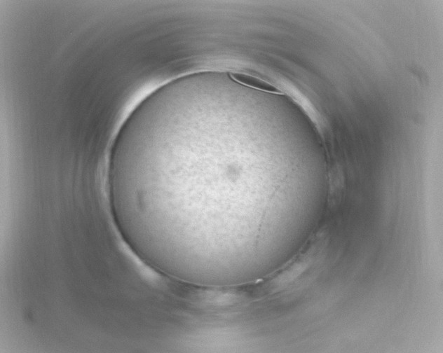 X0000115681103200911251746