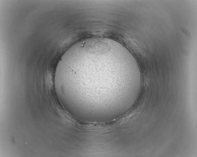 X0000115681106200911251746