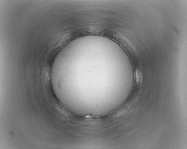 X0000115681107200911251746