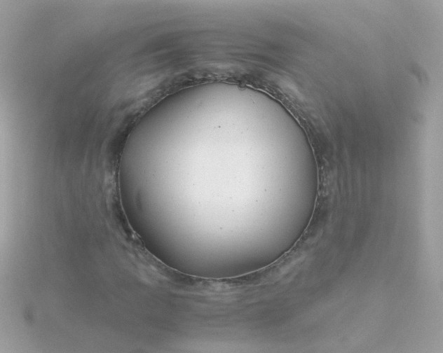 X0000115681109200911251746