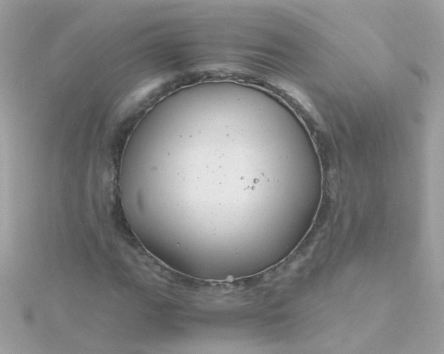 X0000115681111200911251746