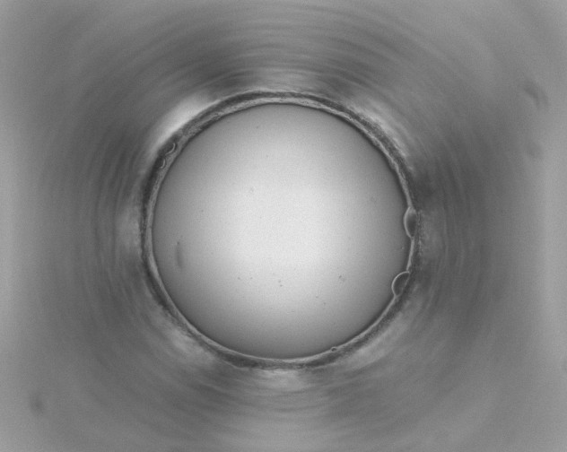 X0000115681114200911251746