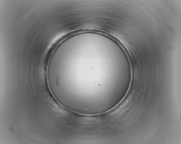 X0000115681115200911251746