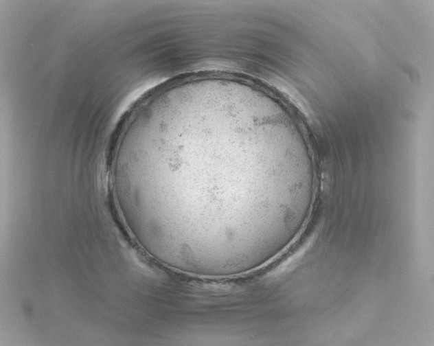 X0000115681117200911251746