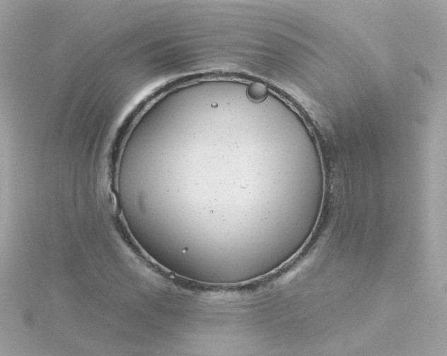 X0000115681118200911251746