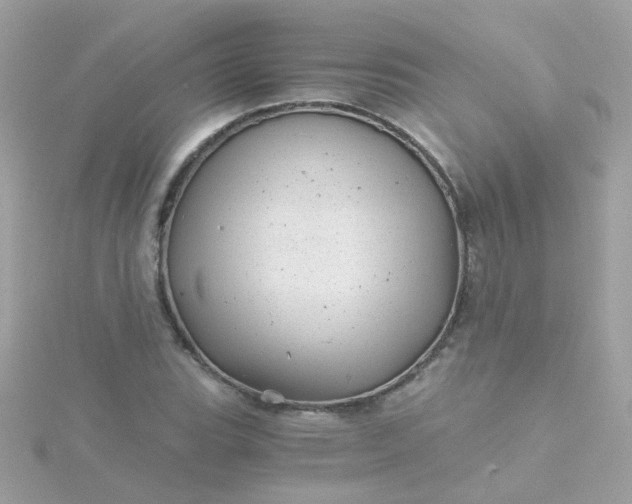 X0000115681119200911251746