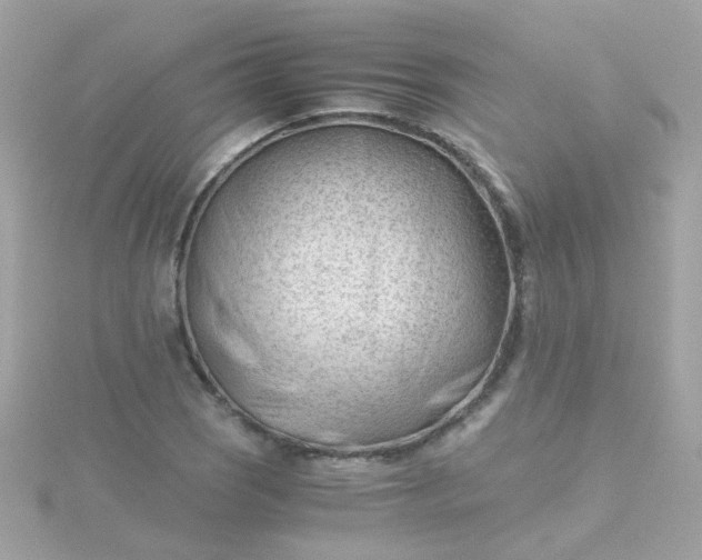 X0000115681121200911251746