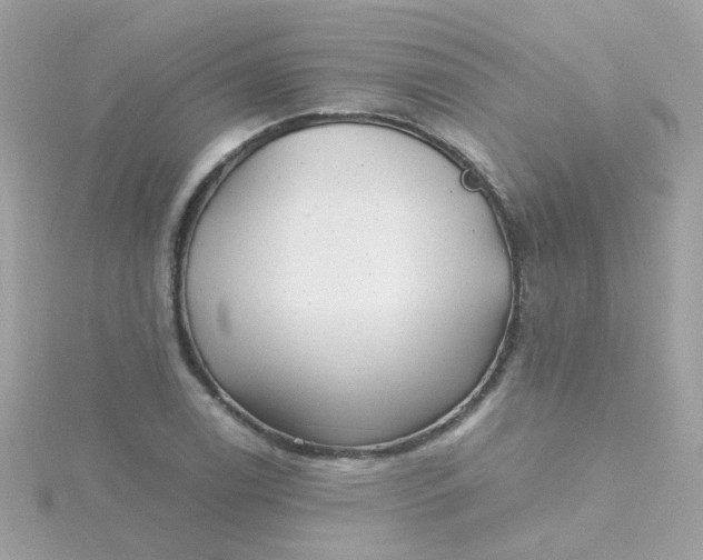 X0000115681122200911251746