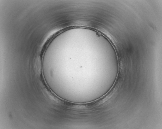 X0000115681123200911251746