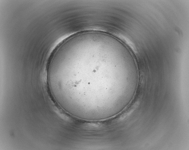 X0000115681125200911251746