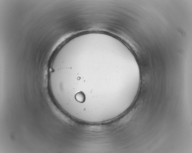 X0000115681126200911251746