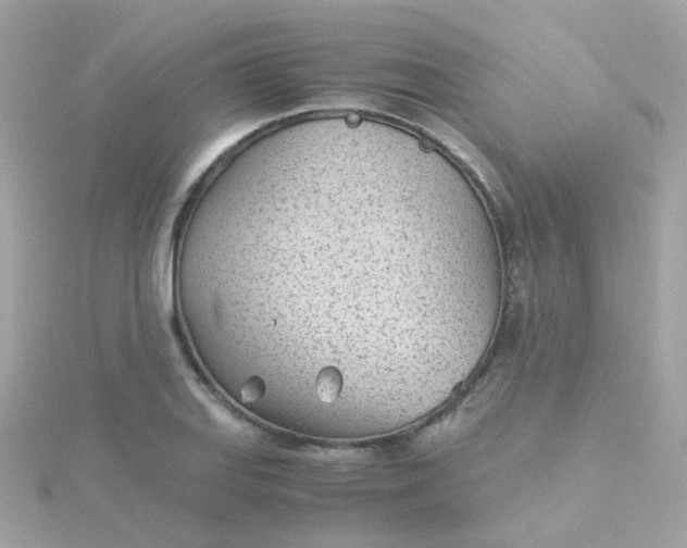 X0000115681127200911251746