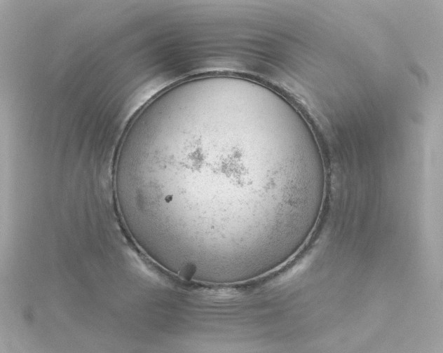 X0000115681129200911251746