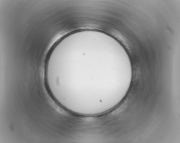 X0000115681130200911251746