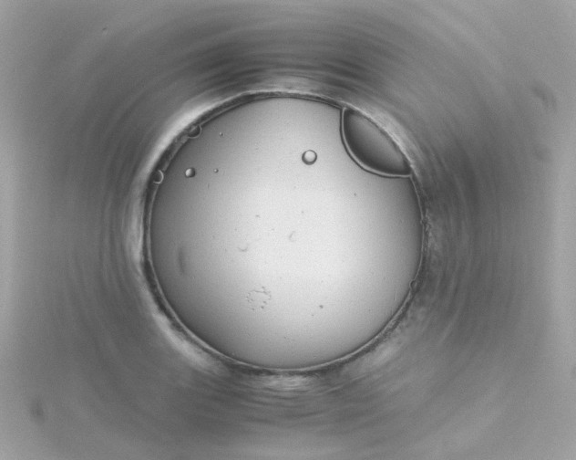 X0000115681131200911251746