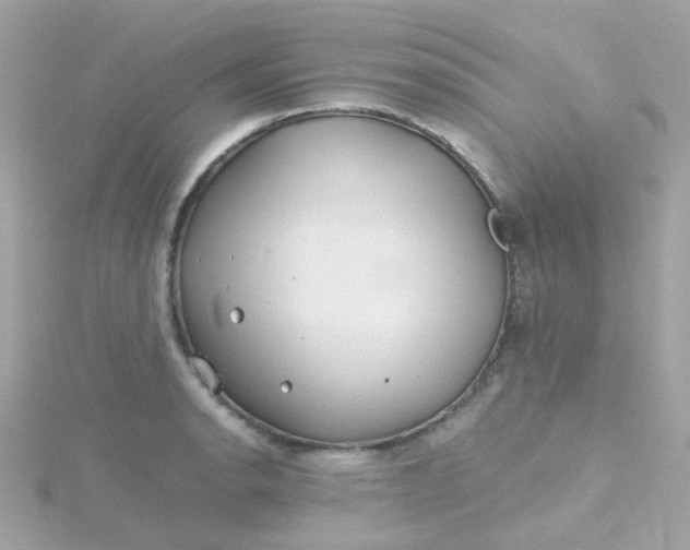 X0000115681134200911251746