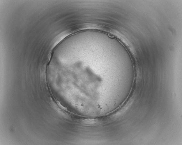 X0000115681137200911251746