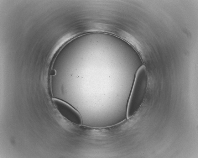 X0000115681138200911251746