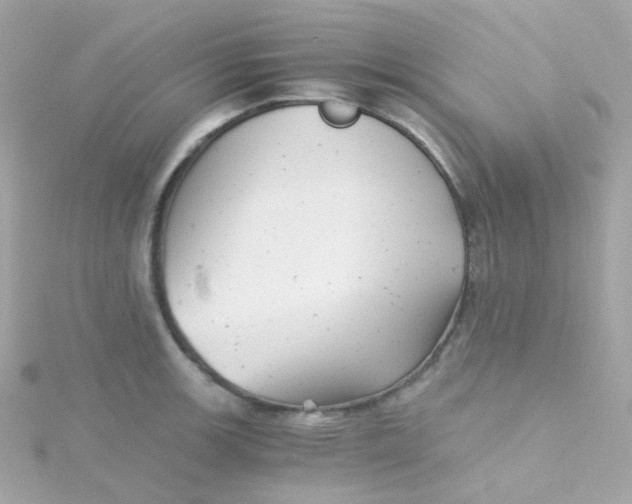 X0000115681139200911251746