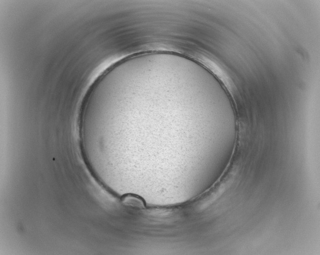 X0000115681141200911251746