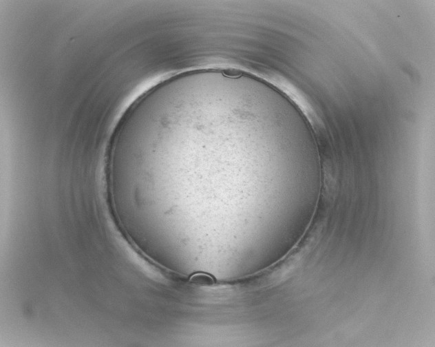 X0000115681142200911251746