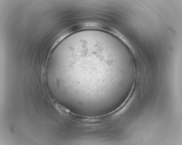 X0000115681145200911251746