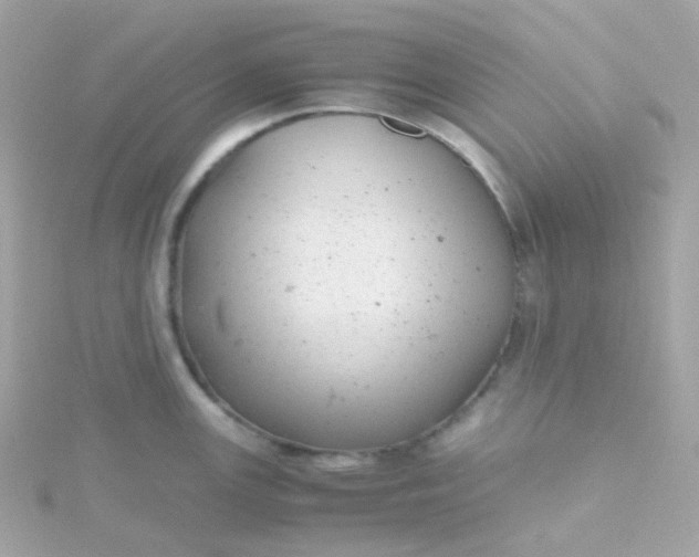 X0000115681147200911251746