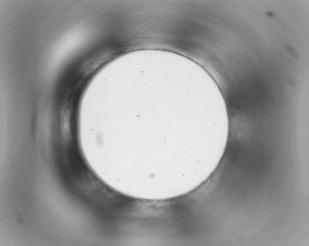 X0000115681150200911251746