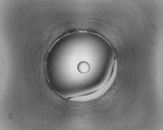 X0000115681153200911251746