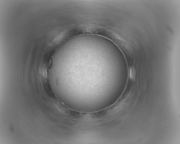 X0000115681155200911251746