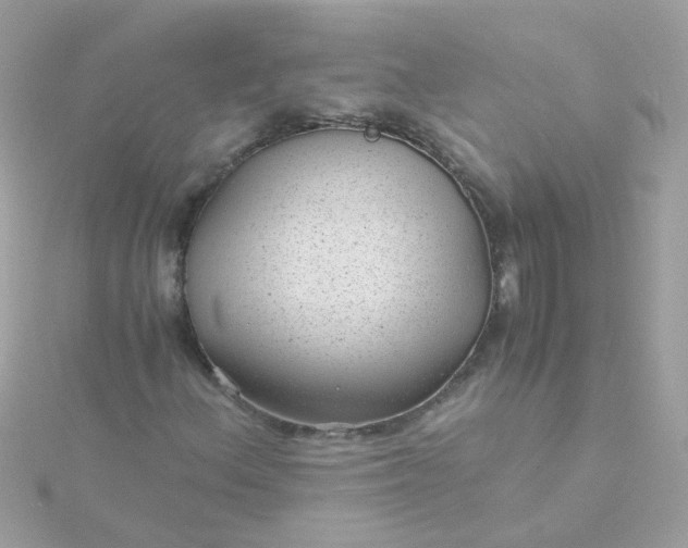 X0000115681156200911251746