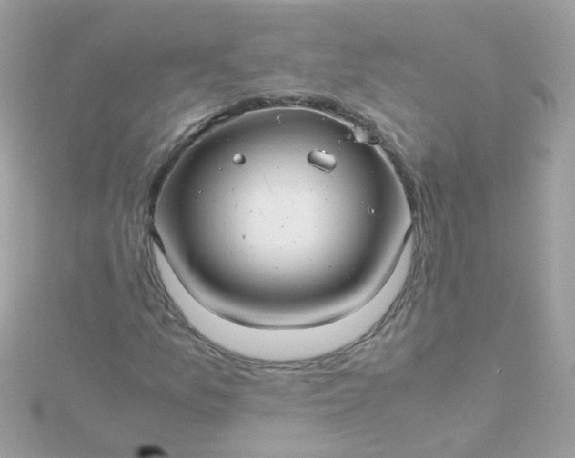 X0000115681157200911251746