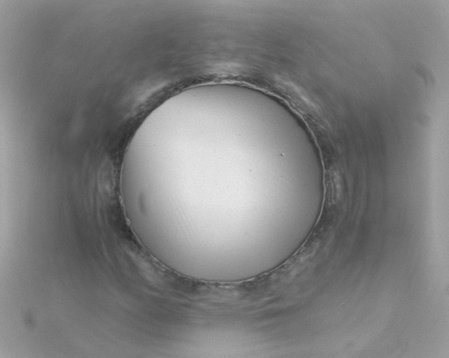 X0000115681158200911251746