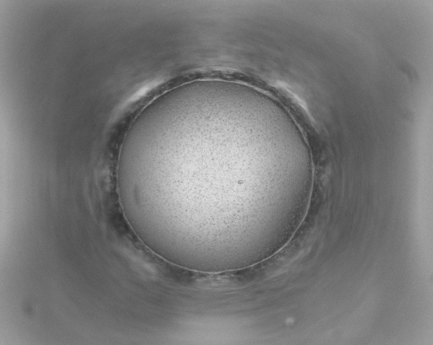 X0000115681159200911251746