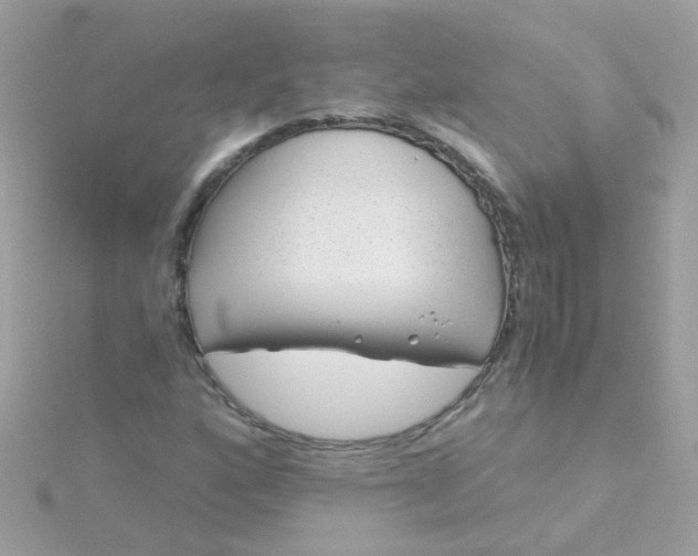 X0000115681160200911251745