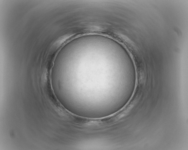 X0000115681161200911251745