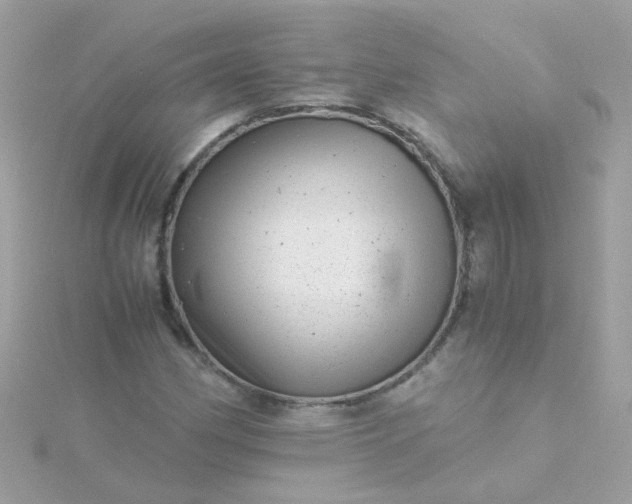 X0000115681162200911251745